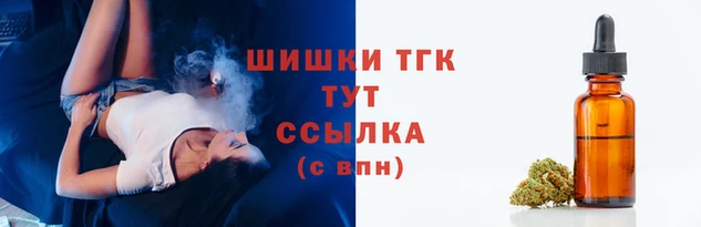 гашик Балахна
