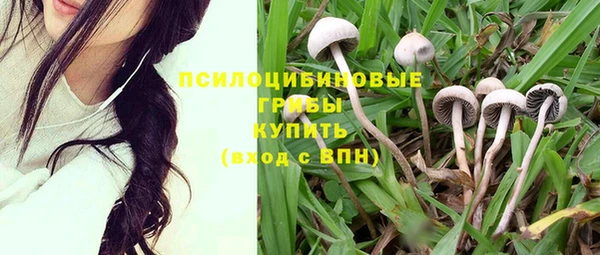 гашик Балахна