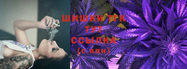 амф Арсеньев