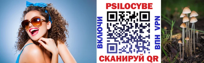 как найти наркотики  Гатчина  Галлюциногенные грибы ЛСД 